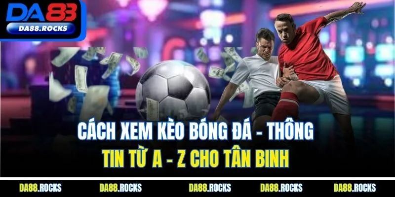 Cách Xem Kèo Bóng Đá - Thông Tin Từ A - Z Cho Tân Binh