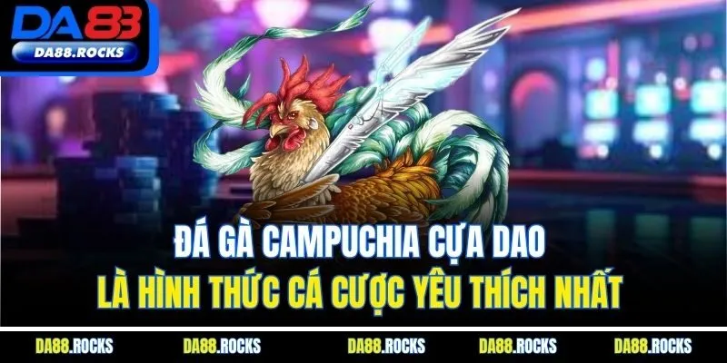 Đá gà Campuchia cựa dao là hình thức cá cược yêu thích nhất