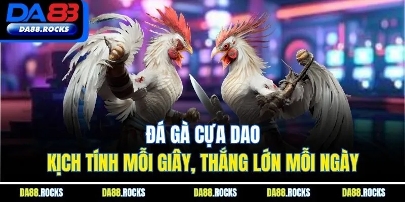 Đá Gà Cựa Dao | Kịch Tính Mỗi Giây, Thắng Lớn Mỗi Ngày