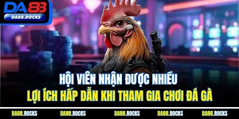 Hội viên nhận được nhiều lợi ích hấp dẫn khi tham gia chơi đá gà