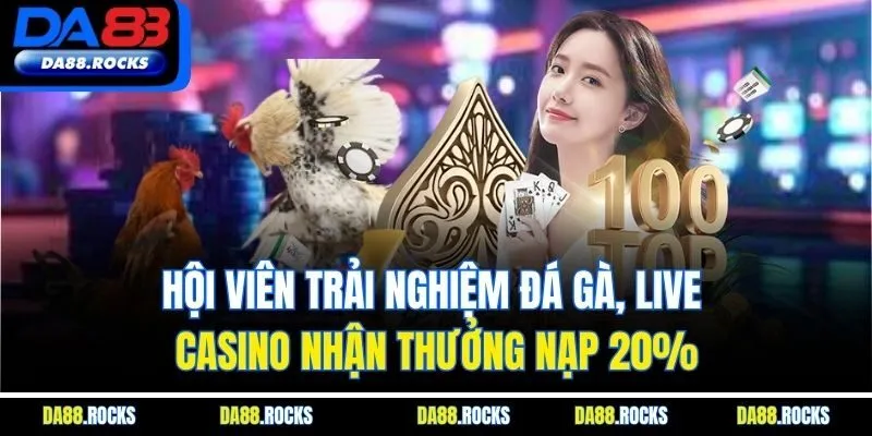 Hội viên trải nghiệm đá gà, live casino nhận thưởng nạp 20%