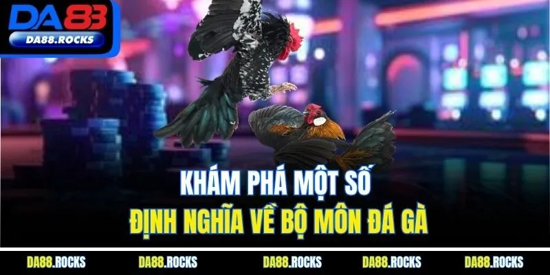 Khám phá một số định nghĩa về bộ môn đá gà