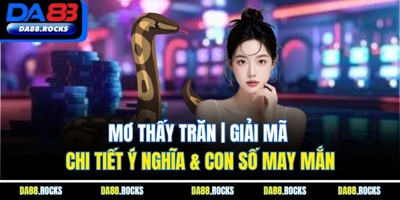 Mơ Thấy Trăn | Giải Mã Chi Tiết Ý Nghĩa & Con Số May Mắn