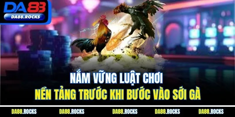 Nắm vững luật chơi nền tảng trước khi bước vào sới gà