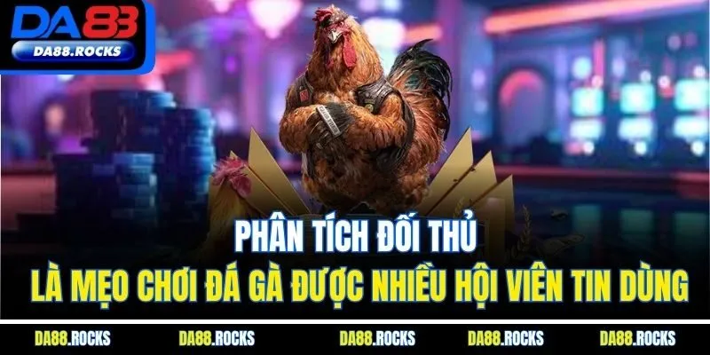 Phân tích đối thủ là mẹo chơi đá gà được nhiều hội viên tin dùng