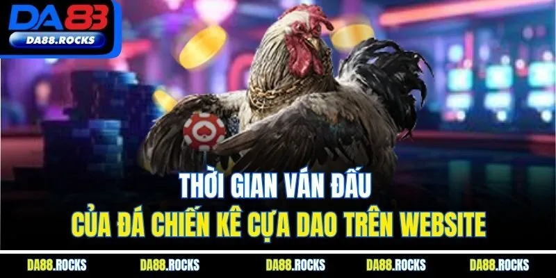 Thời gian ván đấu của đá chiến kê cựa dao trên website