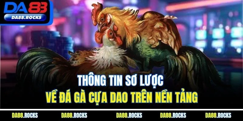 Thông tin sơ lược về đá gà cựa dao trên nền tảng