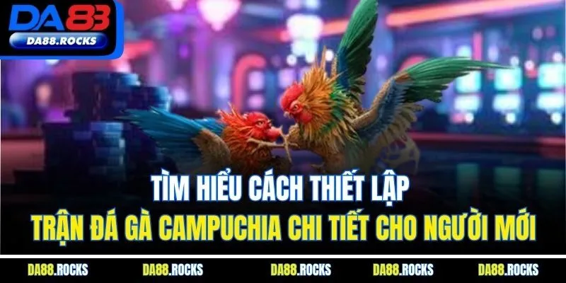 Tìm hiểu cách thiết lập trận đá gà Campuchia chi tiết cho người mới