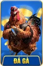 Đá gà DA88